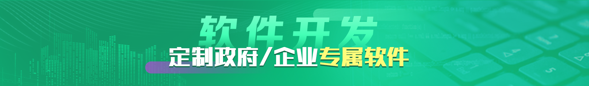 定制化开发